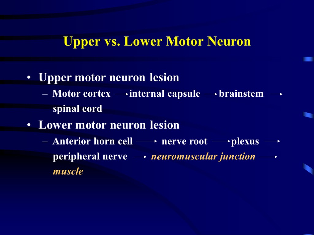 Upper vs. Lower Motor Neuron Upper motor neuron lesion Motor cortex internal capsule brainstem